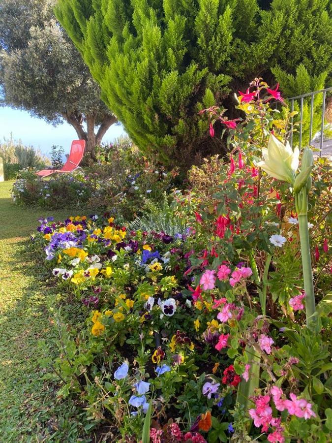 Casa De Prazeres Villa Dış mekan fotoğraf