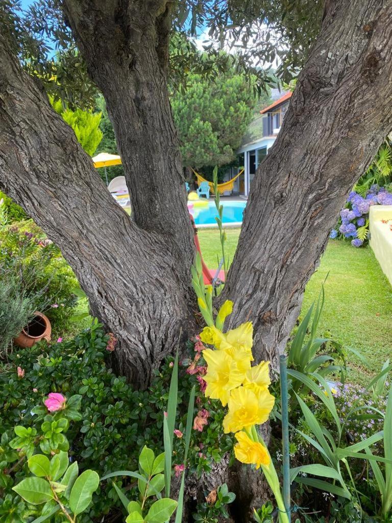 Casa De Prazeres Villa Dış mekan fotoğraf