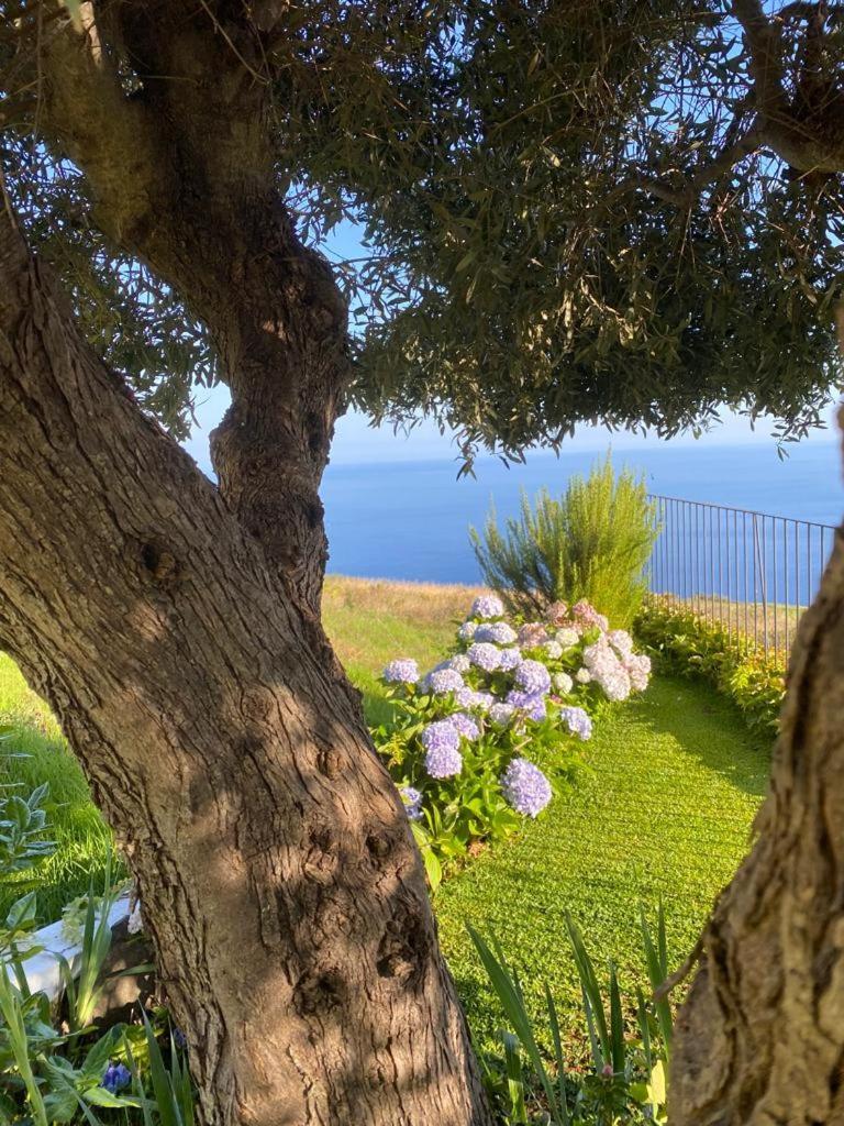 Casa De Prazeres Villa Dış mekan fotoğraf