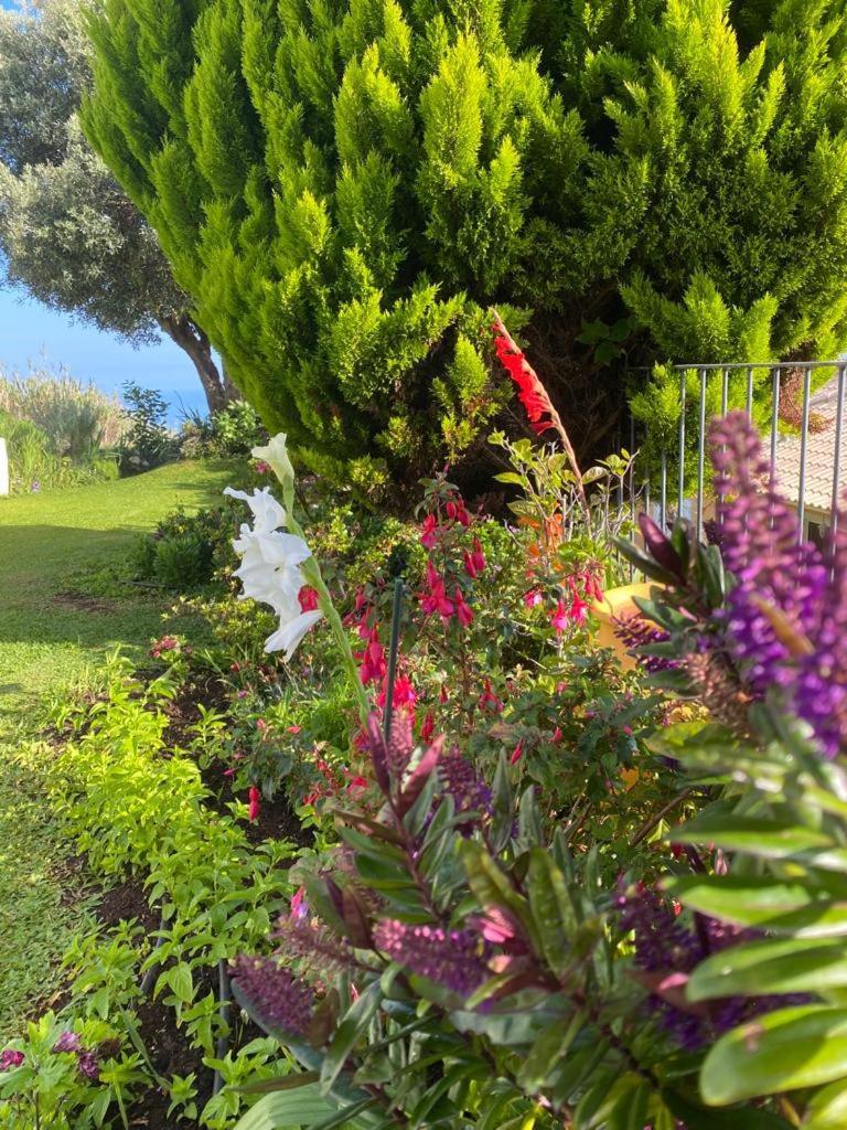 Casa De Prazeres Villa Dış mekan fotoğraf